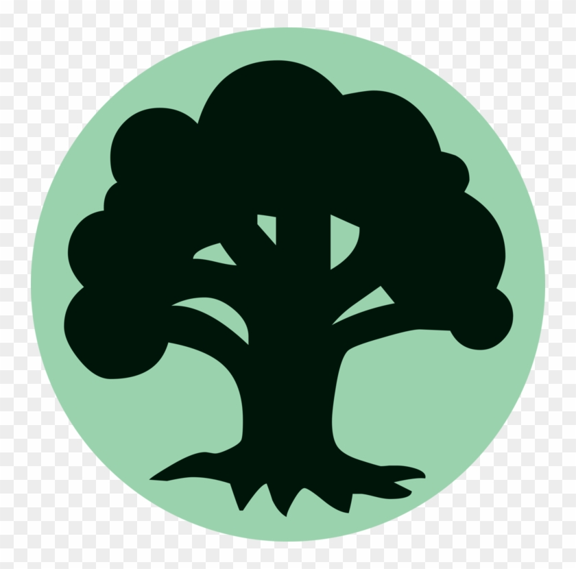 MTG Land Pack (10-Cards)