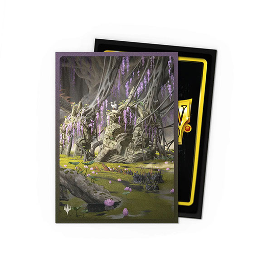 Dragon Shield Sleeves - Standard DUAL - MTG Landfall Series