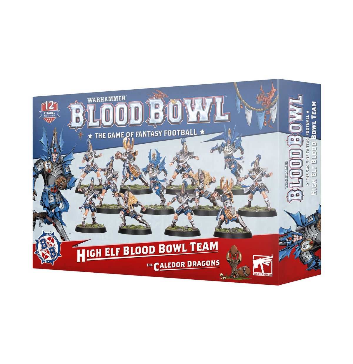 Blood Bowl: High Elf Blood Bowl Team – official Games Workshop packaging